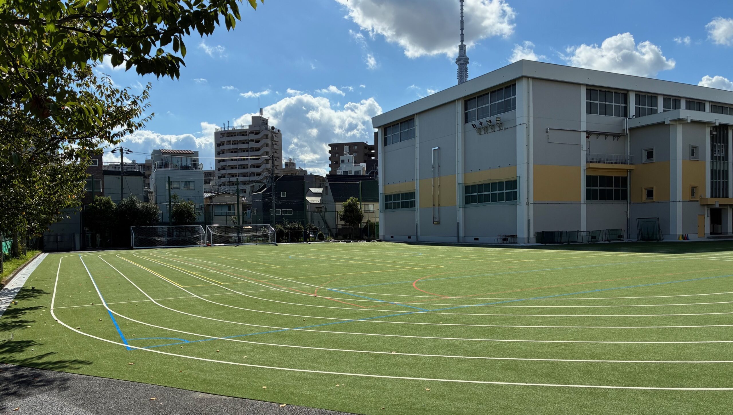 学校校庭の人工芝化